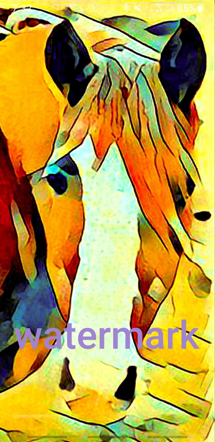 My little pony horse art print instant download 