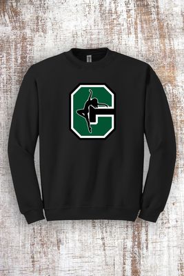 Dance Team Logo Sweatshirt - hooded and crew