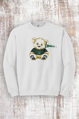 Youth Unisex Broncos Teddy Bear Sweatshirt - hooded and crew