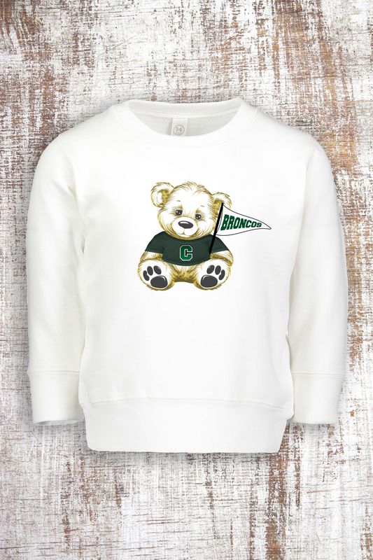 Broncos Teddy Bear Unisex Toddler sweatshirt - hooded and crew