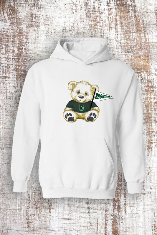 Youth Unisex Broncos Teddy Bear Sweatshirt - hooded and crew
