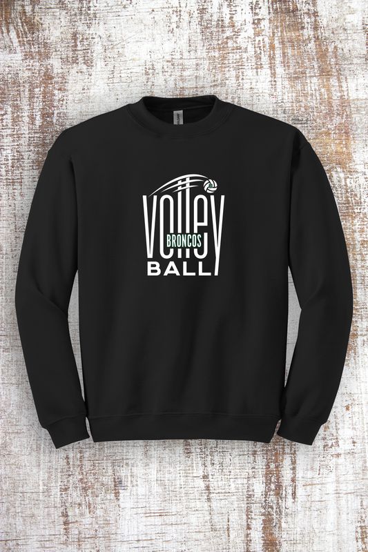 Broncos Reach Volleyball Sweatshirt - hooded and crew