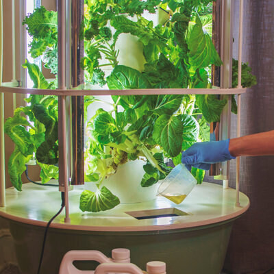 Tower Garden