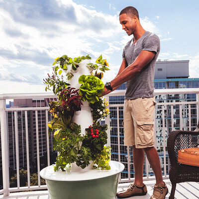 Tower Garden
