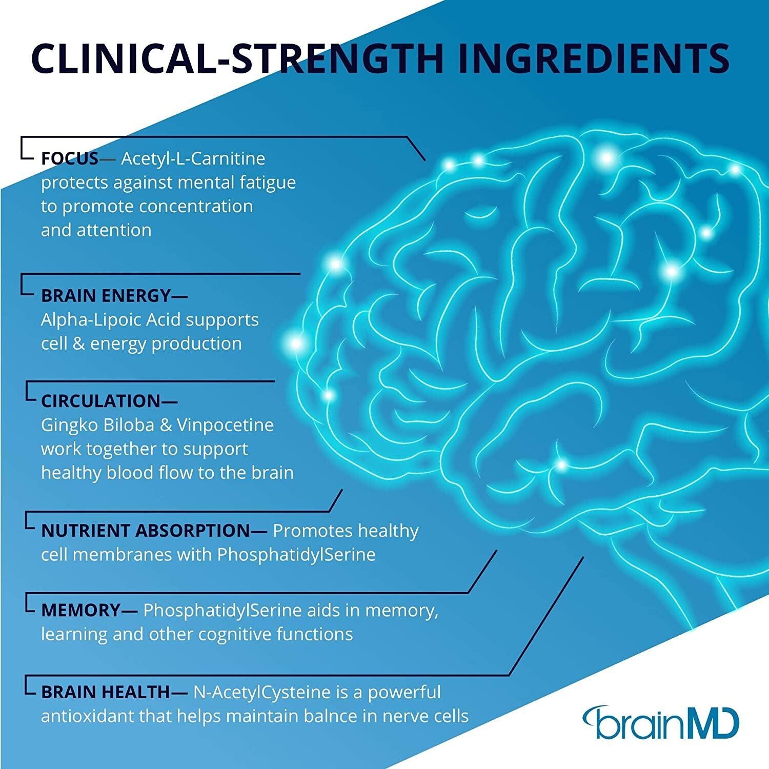 Brain MD