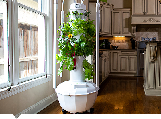 Tower Garden