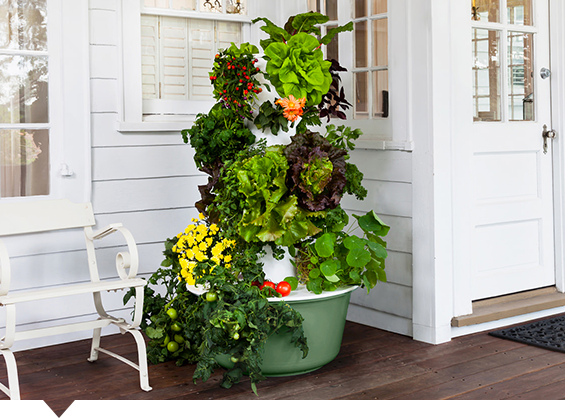 Tower Garden