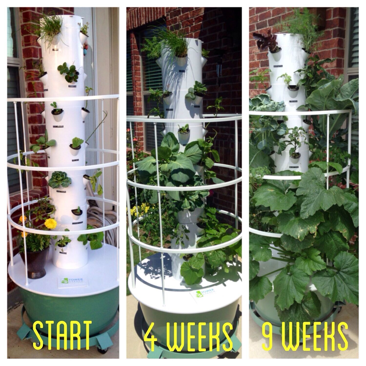 Tower Garden