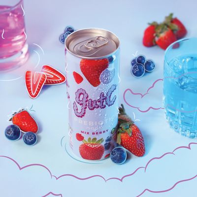 Prebiotic Soda - Mix Berry