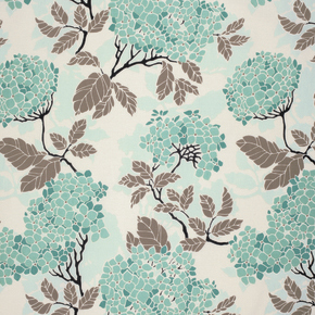 Hydrangea, eggblue