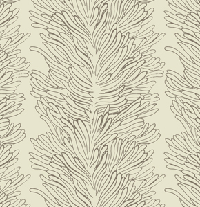 Coral Reef, bone