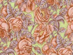 Wild Rose, peach
