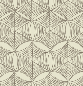 Spiderweb, bone