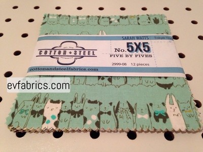 Tokyo Train Ride 5x5 pack