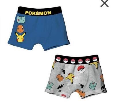 Boxer pokémon