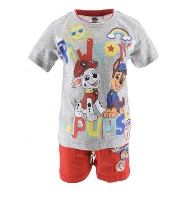 Paw patrol zomer setje