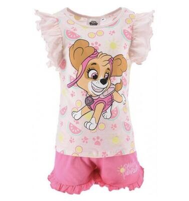 Paw patrol sky zomer setje