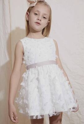 Feestkleedje met vlinders