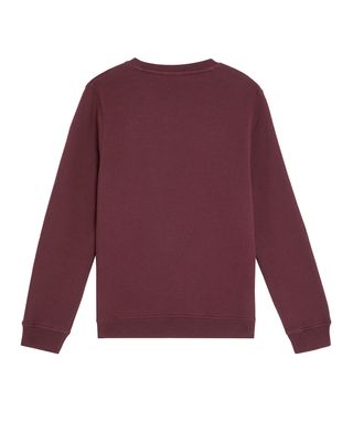 Trui bordeaux zonder kap