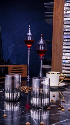 Vibe 6 Pcs Coffee Side Glasses Silver  135 ml