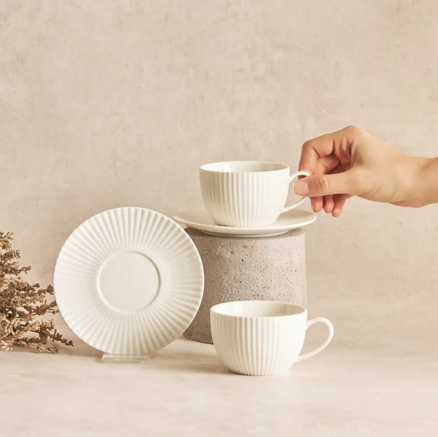 Karaca Seashell 200 ml Tea Cup for 6 Person