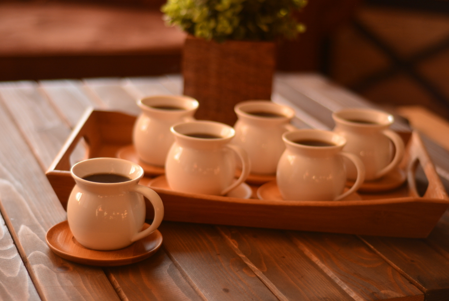 Bambum Torby 6 Person Tea Cup Set