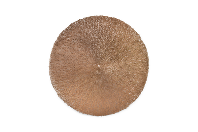 S|P Collection Placemat 38cm copper Vene