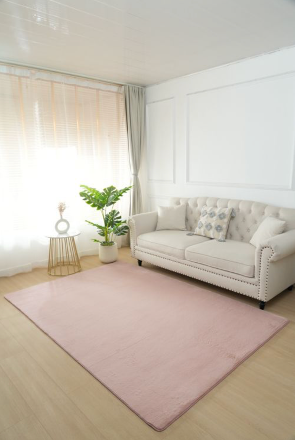 Pelus Basic Pink Carpet