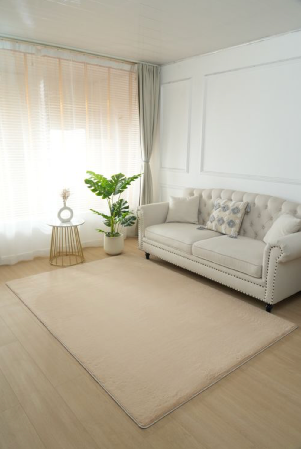 Pelus Basic Beige Carpet
