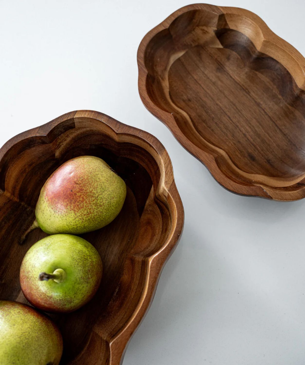 Acacia Bloom schaal Acacia Bloom schaal