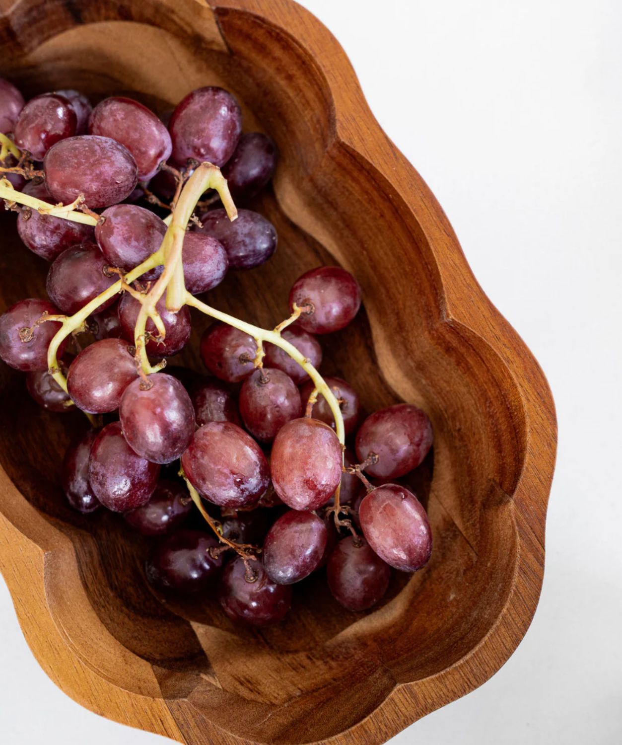 Acacia Bloom schaal Acacia Bloom schaal