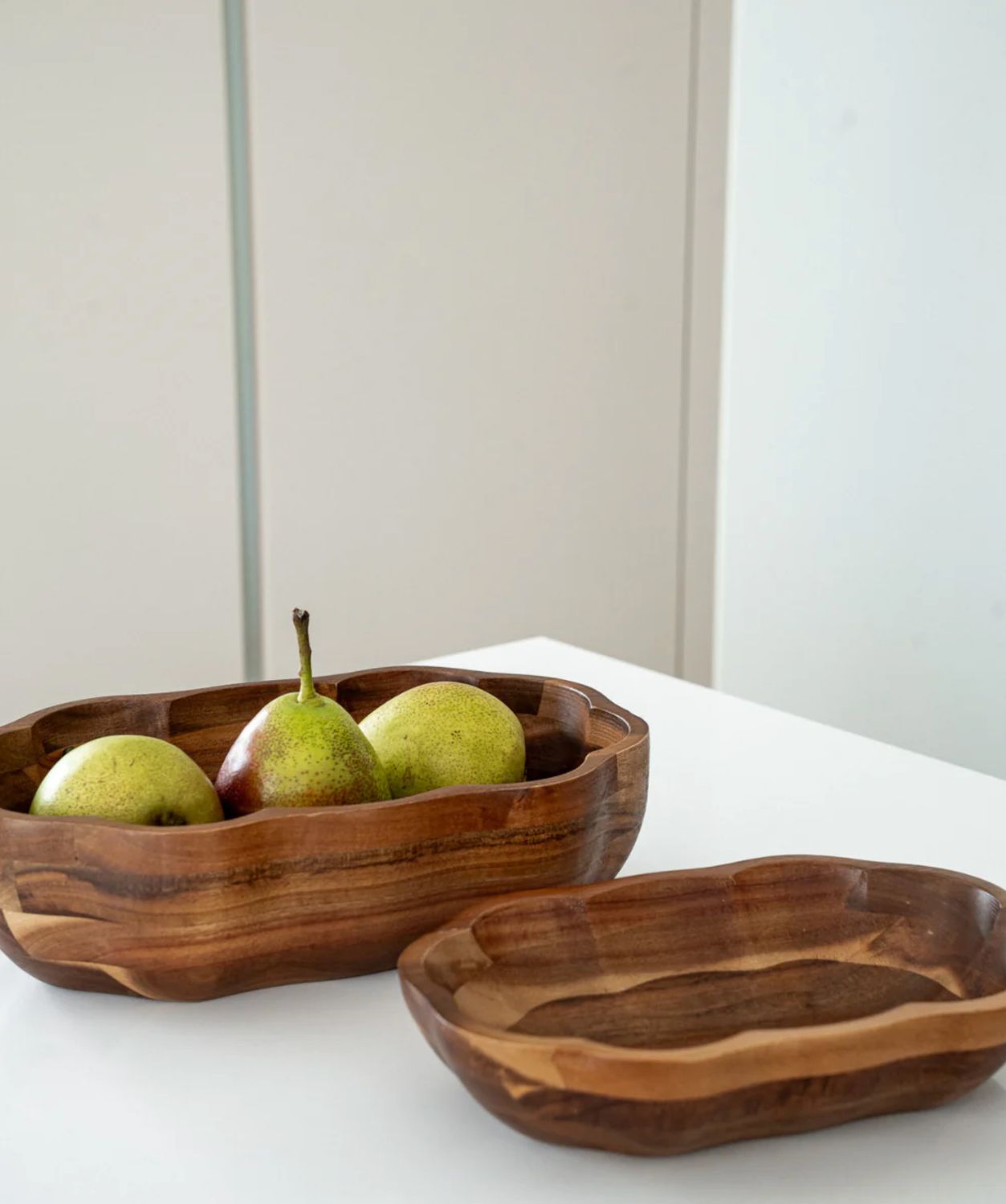 Acacia Bloom schaal Acacia Bloom schaal