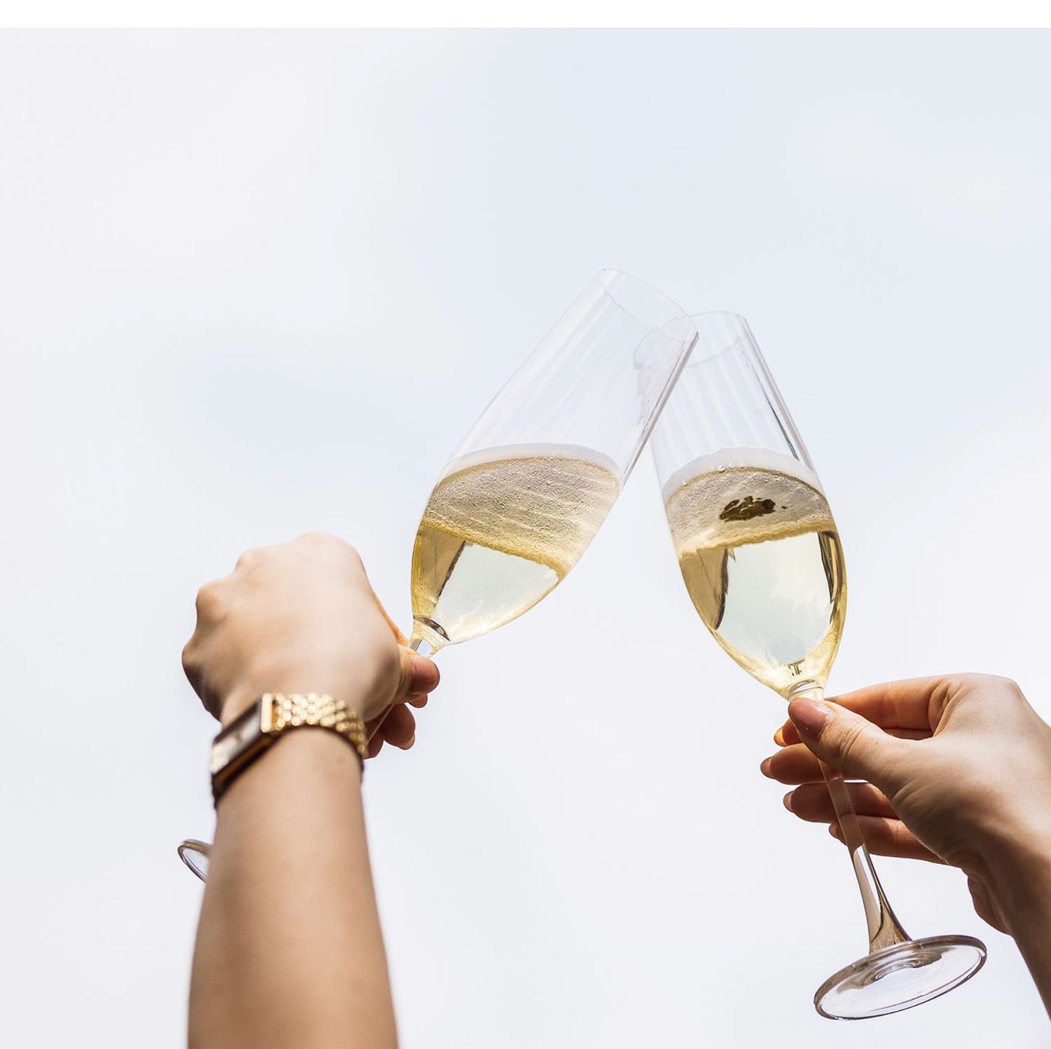 S&P Şampanya Kadehi 29 cl Saga - 4'lü set