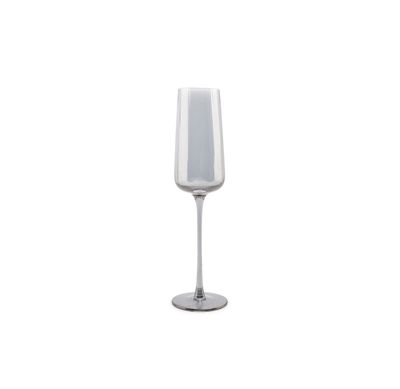 S|P Collection Champagneglas 24cl smoked Ray - set/4