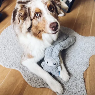Knuffel Rosicchio