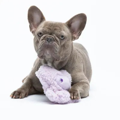 Knuffel Noccialino