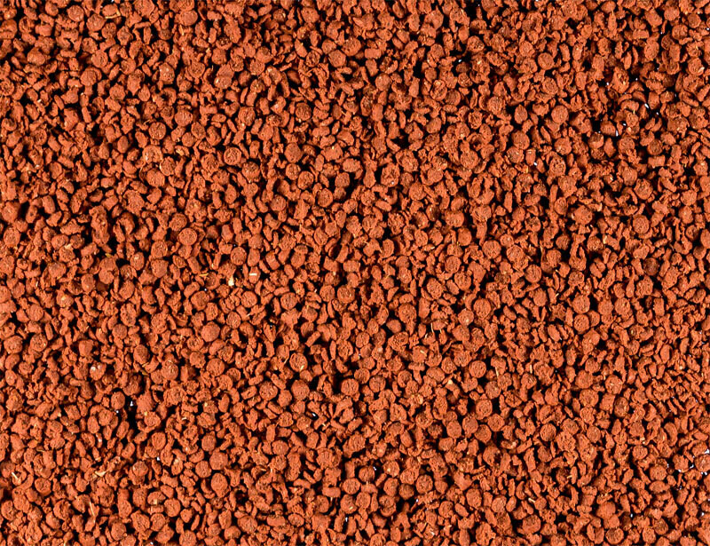 Cichlid granulate red