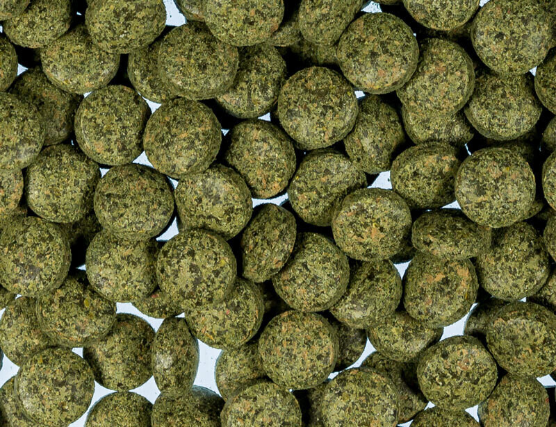 Spirulina bottom tablets