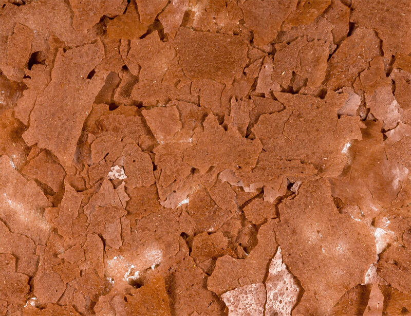 ARTEMIA FLAKES