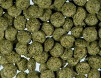 Dry food