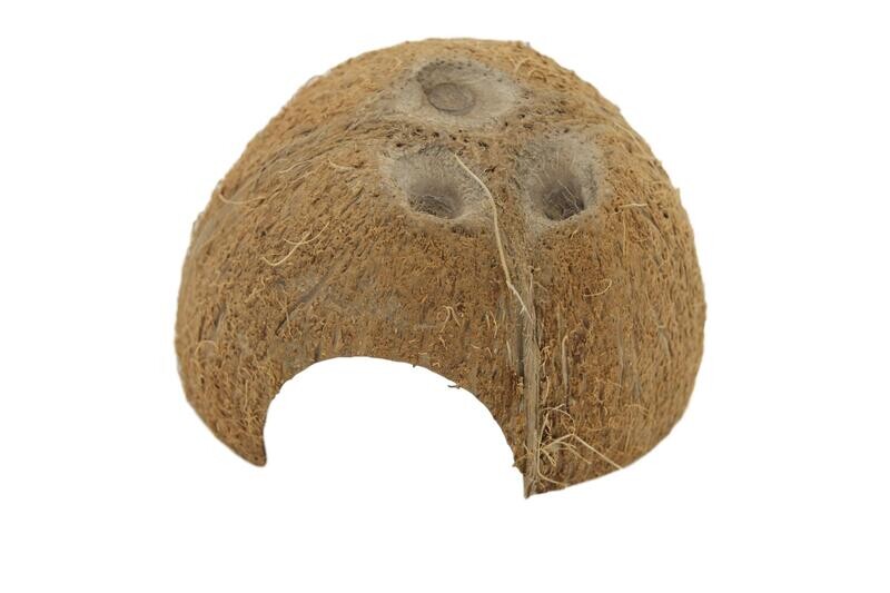 half coconut shelter CeramicNature