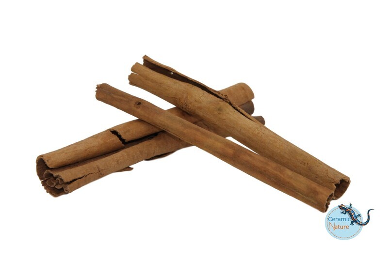 ​CeramicNature 6x cinnamon stiks