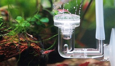 Co2 &amp; plant food