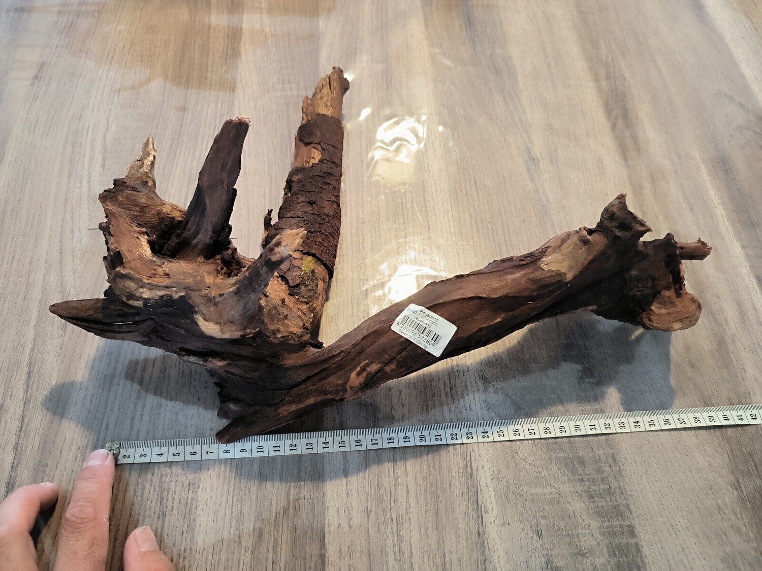 River root