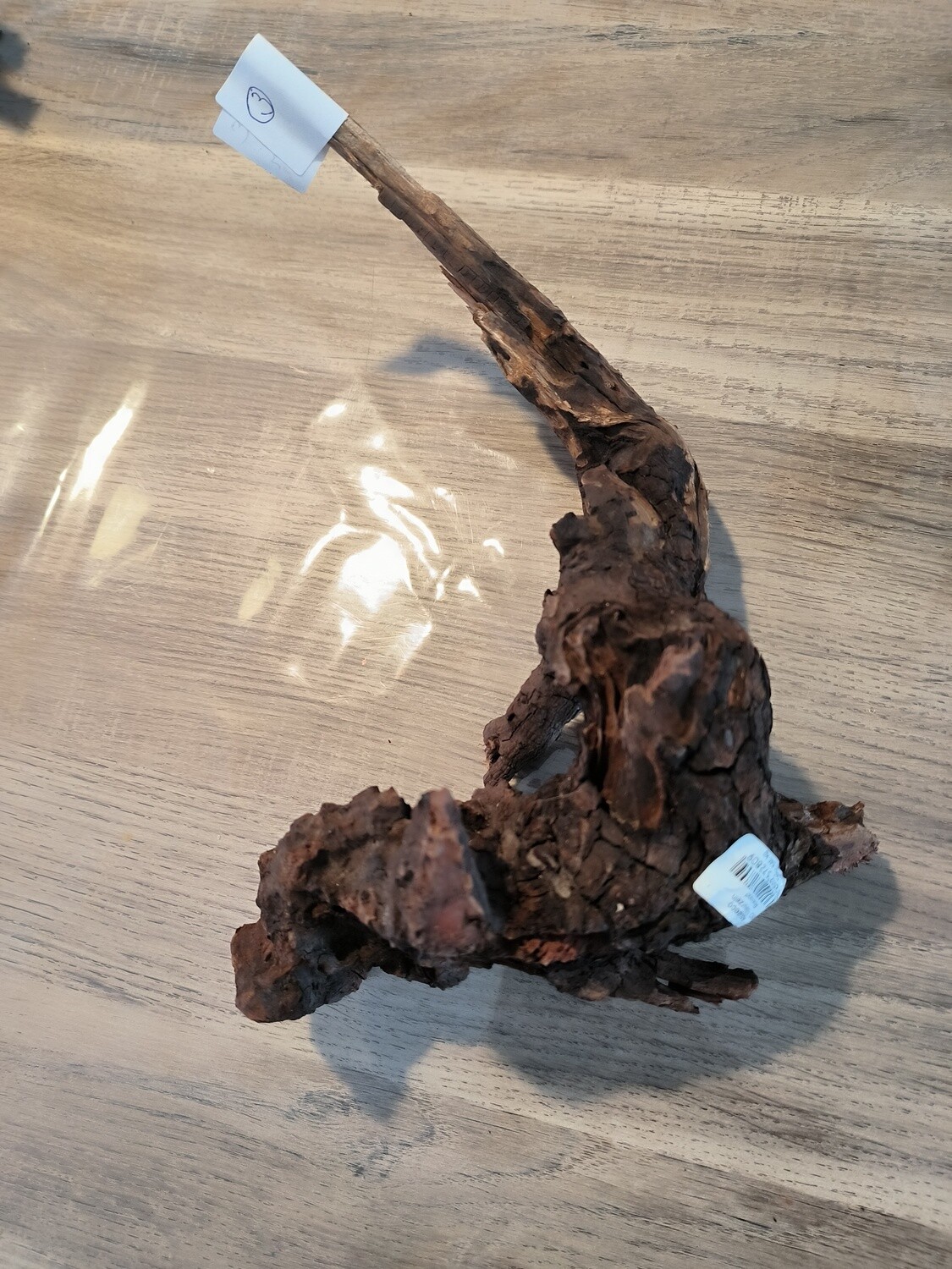 River root