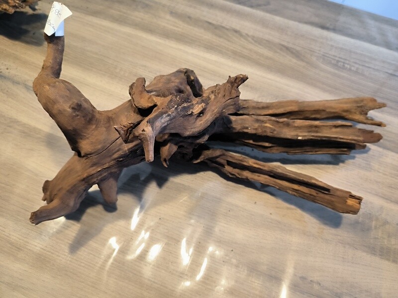 River roots