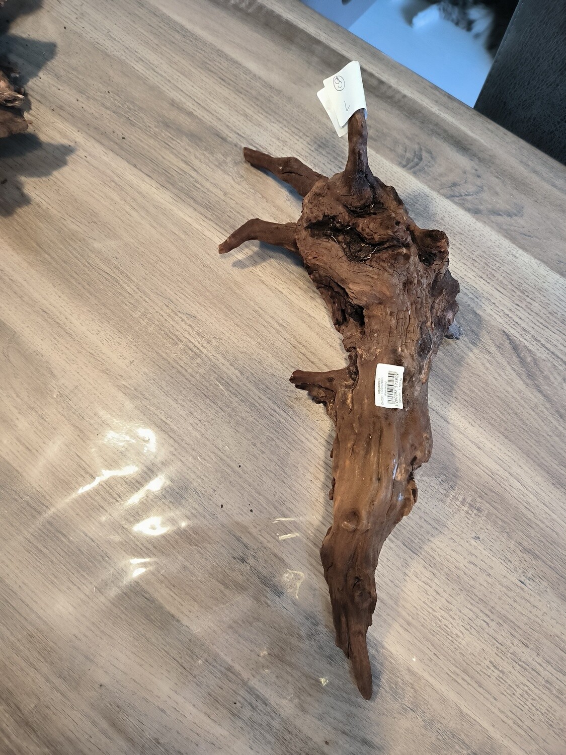 River roots