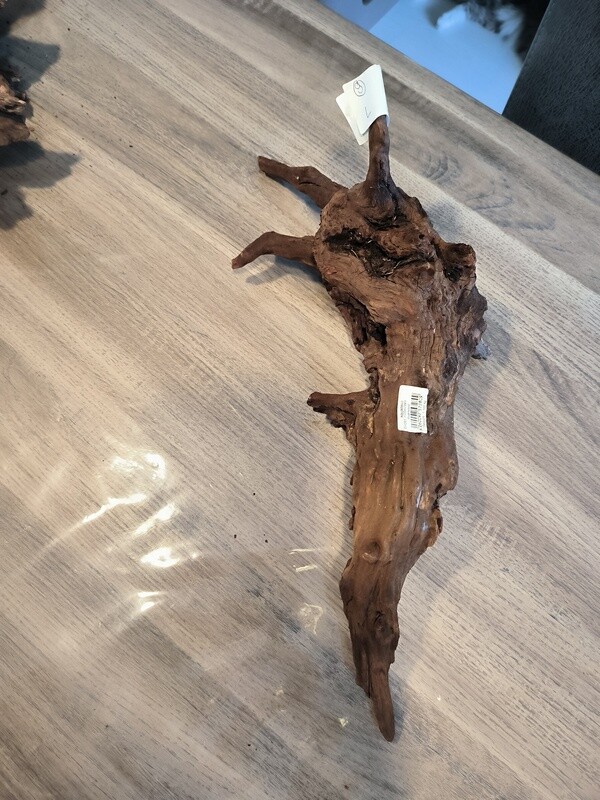 River roots