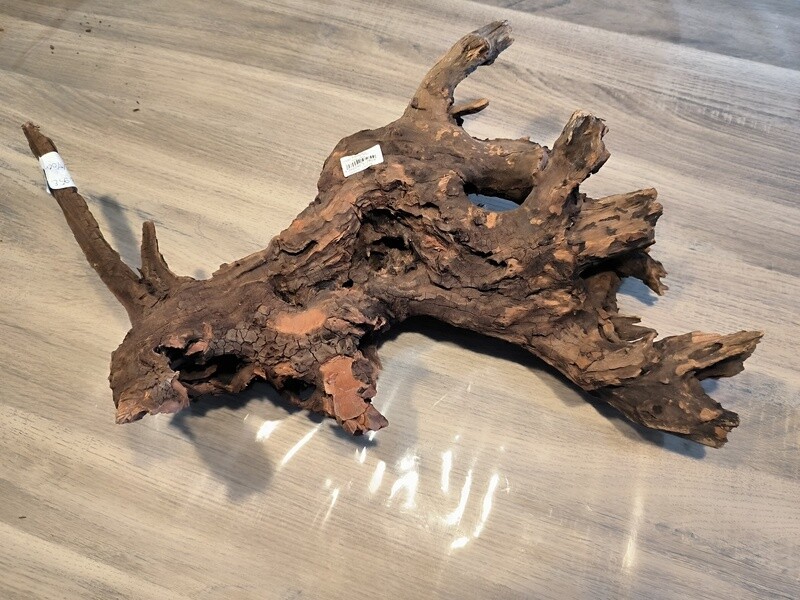 River roots