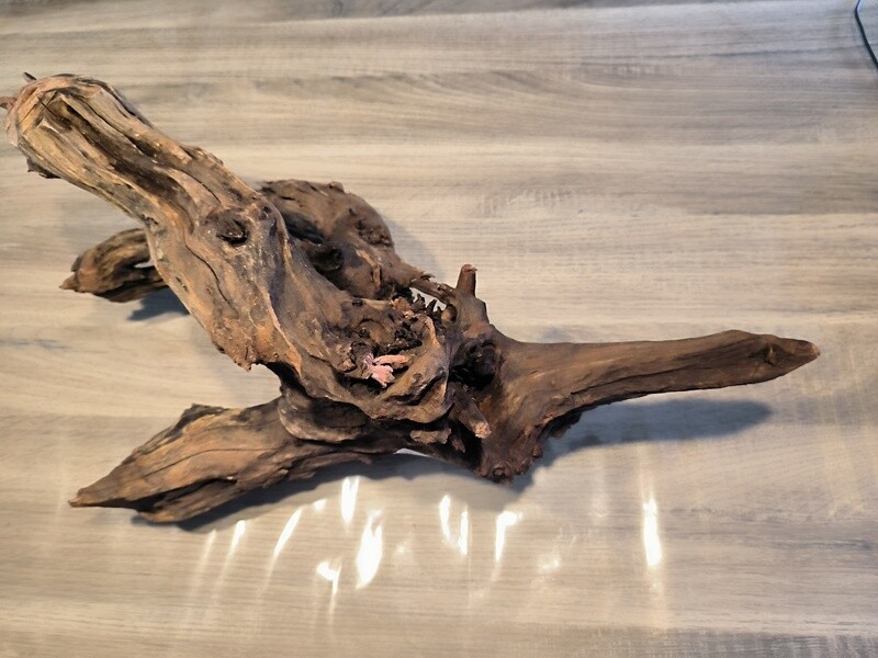River Roots